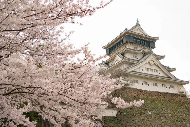 小倉城非常適合花季前往