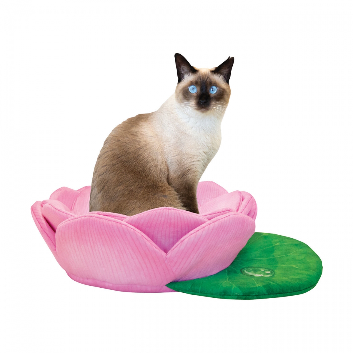 貓咪專用蓮花坐墊