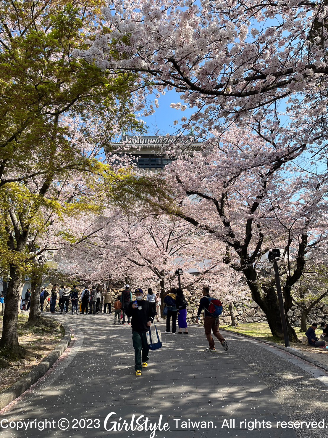小倉城4月櫻花開滿