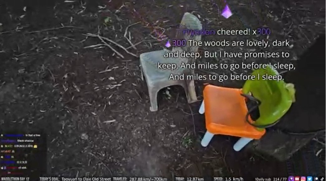 企鵝妹好奇樹林中上鎖的椅子