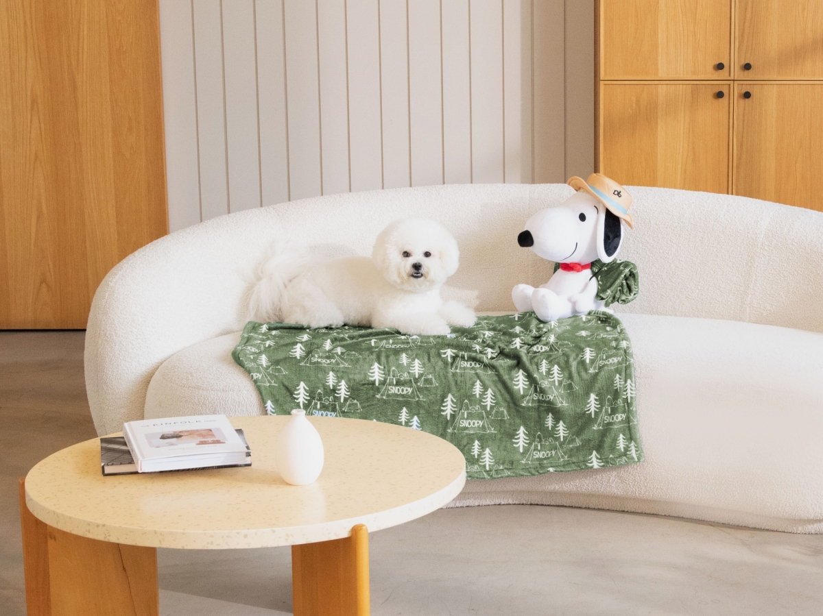 康是美「史努比加價購」11： 造型玩偶毯 加購價：599/個