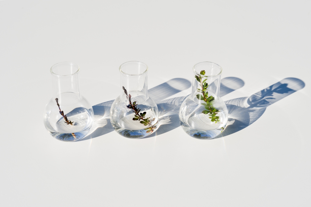 亞曼尼【黑曜岩頂級保養系列】經典成分「重生密蘿蘭」滴水復活示意圖