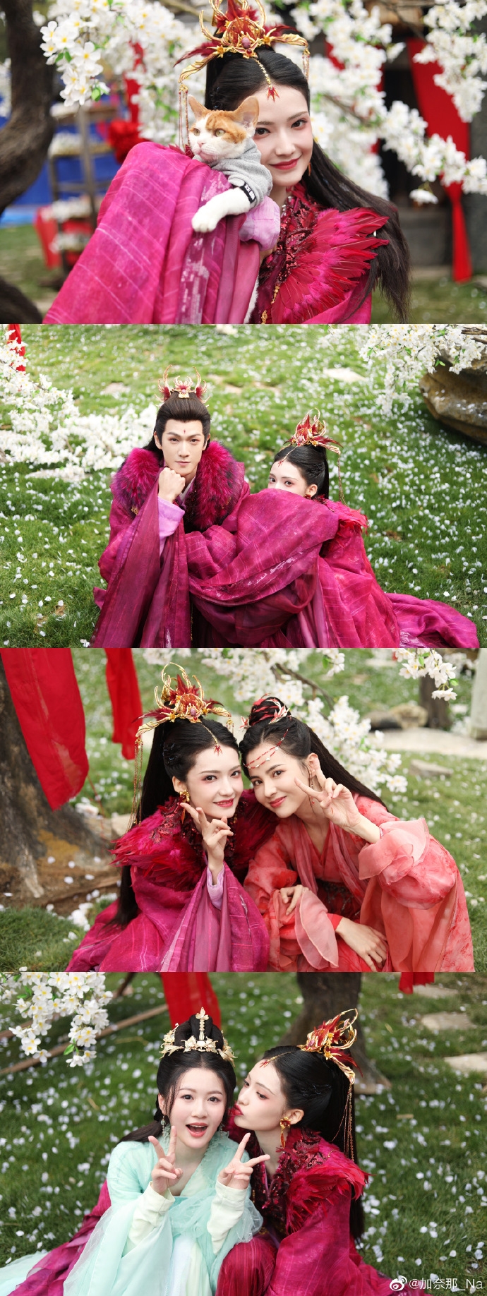 加奈在《神隱》桃紅色裝扮嫵媚多姿。