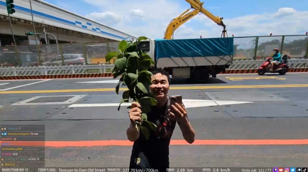 吃屎哥一早來向企鵝妹求婚