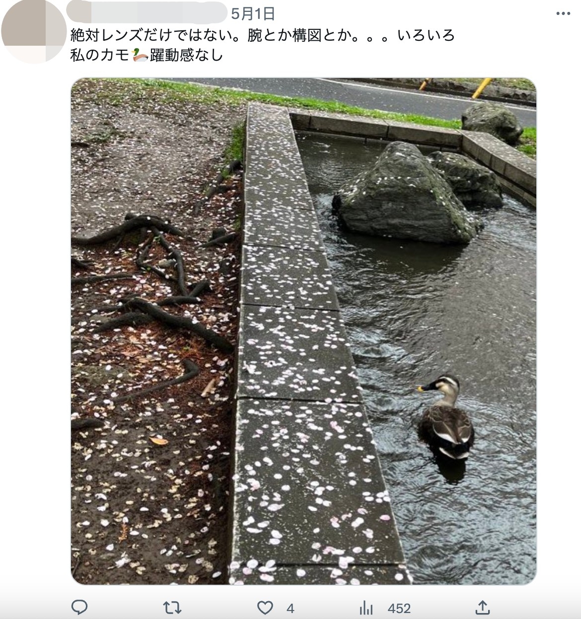 網友分享對比照