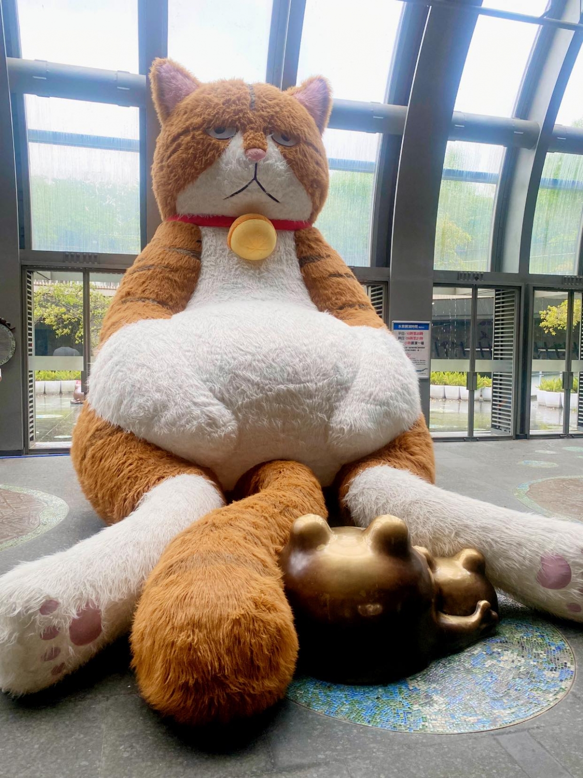 「大橘為重,眼皮很重」是橘貓重重的slogan