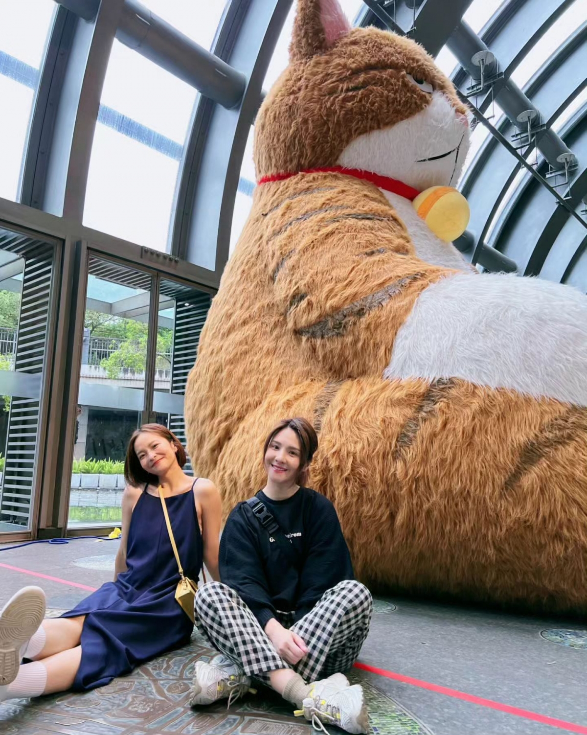 橘貓重重連女神郭靜都朝聖