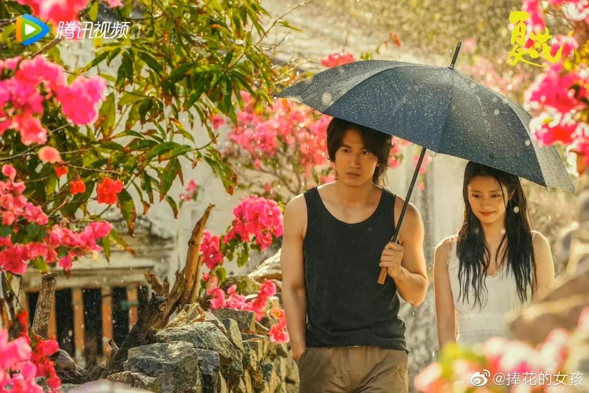 《夏花》言承旭