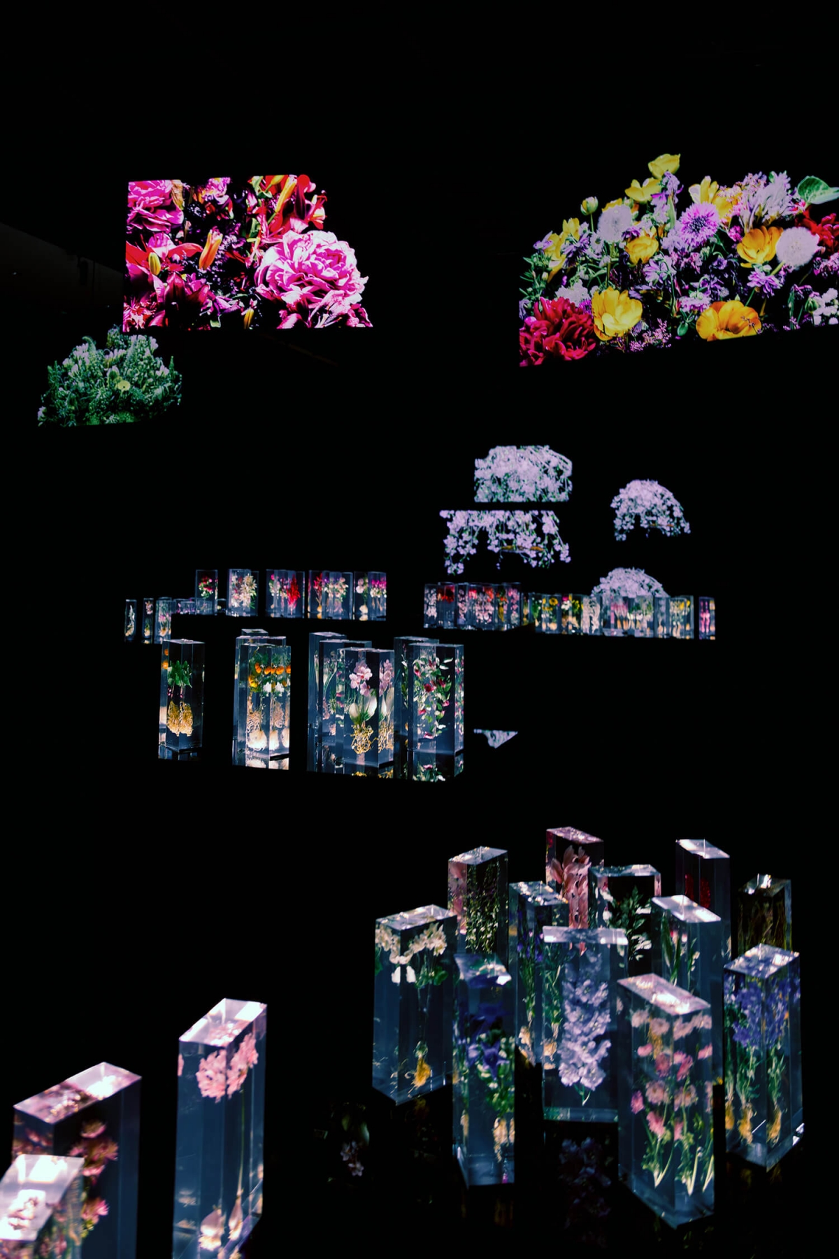 《東信展:繁花.時敘》:花卉縮時影像「Drop Time」