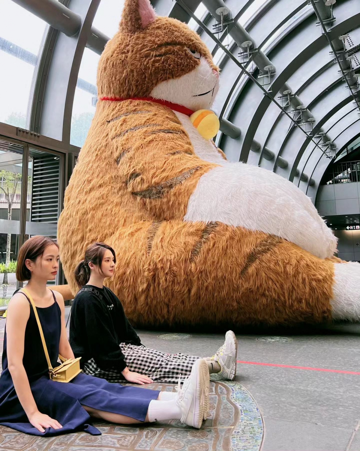 橘貓重重連女神郭靜都朝聖