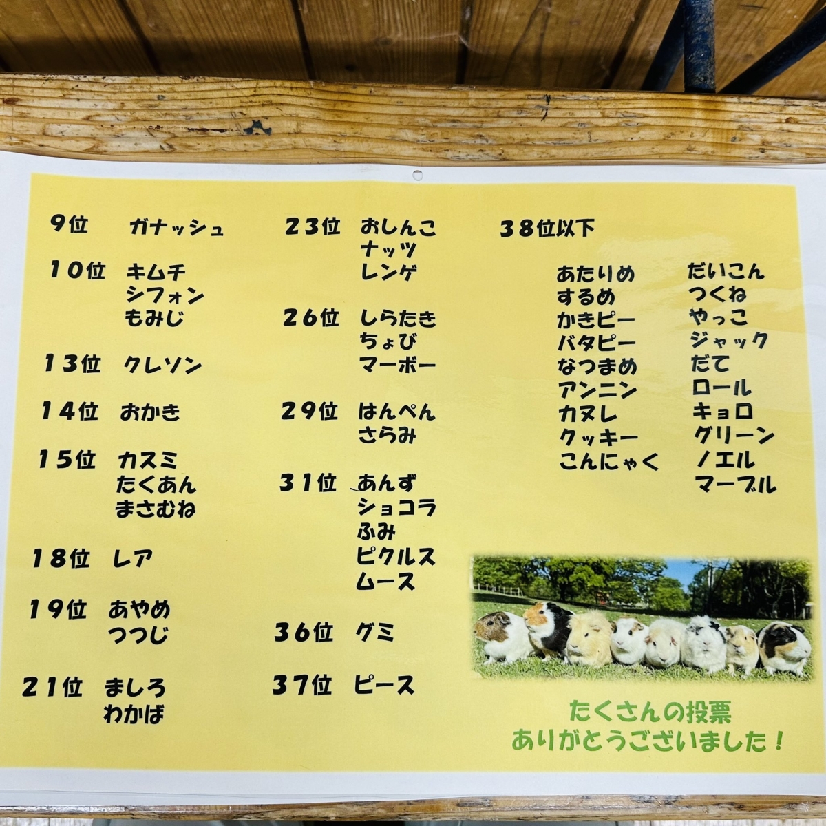 園方公開得獎名單