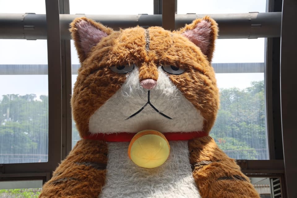 橘貓重重完美詮釋了厭世、與世無爭、貪睡貪吃、十隻橘貓九隻胖的特性