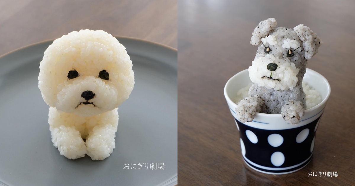 呆萌比熊、可愛雪納瑞