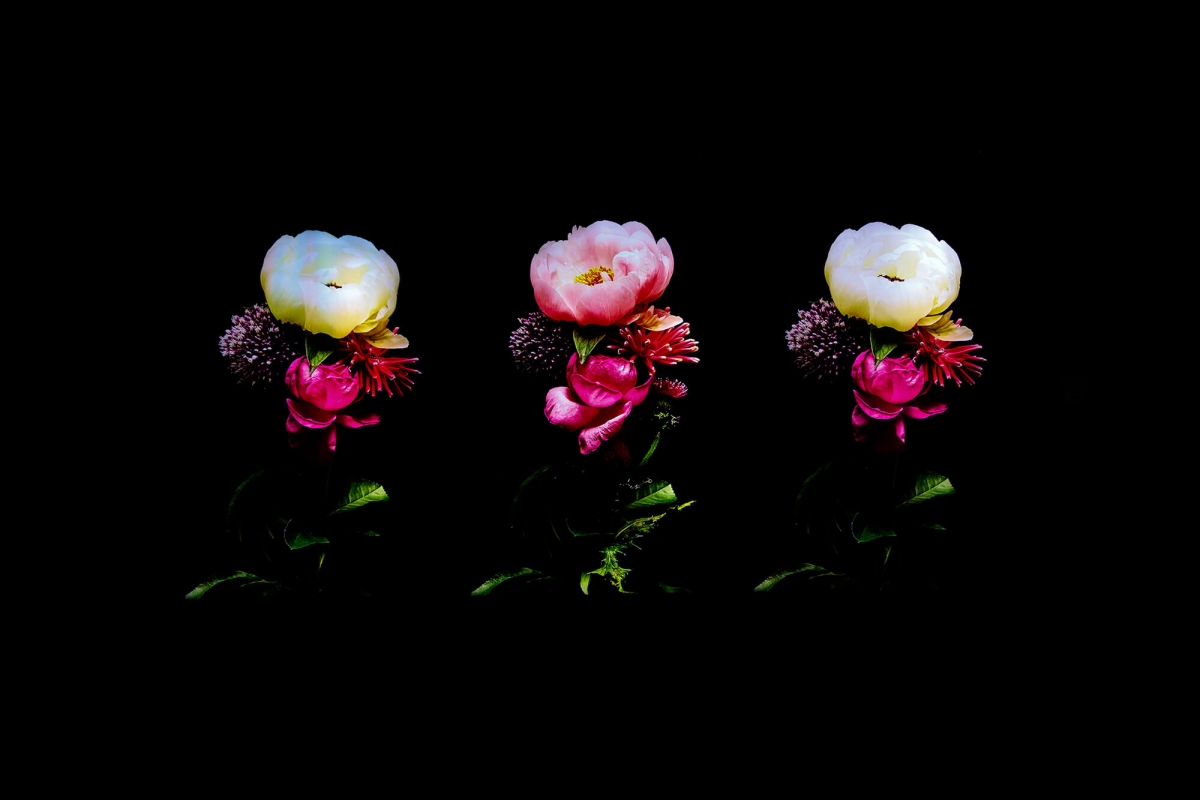 《東信展:繁花.時敘》:花卉縮時影像「Drop Time」