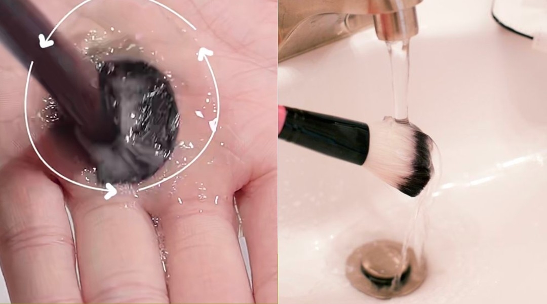 刷具保養重點 ⎮ 動物毛清洗方式