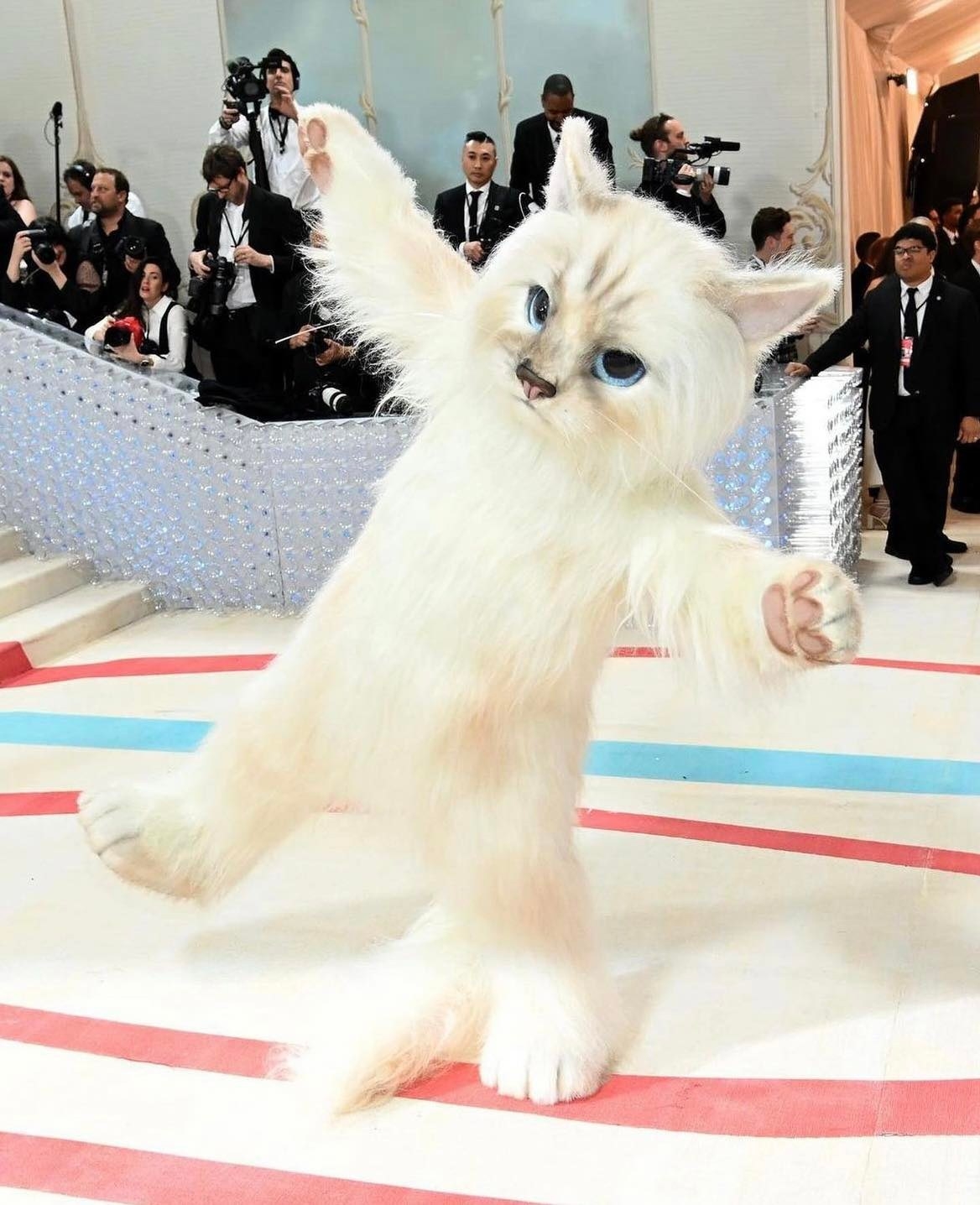 Jared Leto 直接角色扮演 Karl 的愛貓 Choupette，在 Met Gala 紅毯中大玩玩偶變裝。