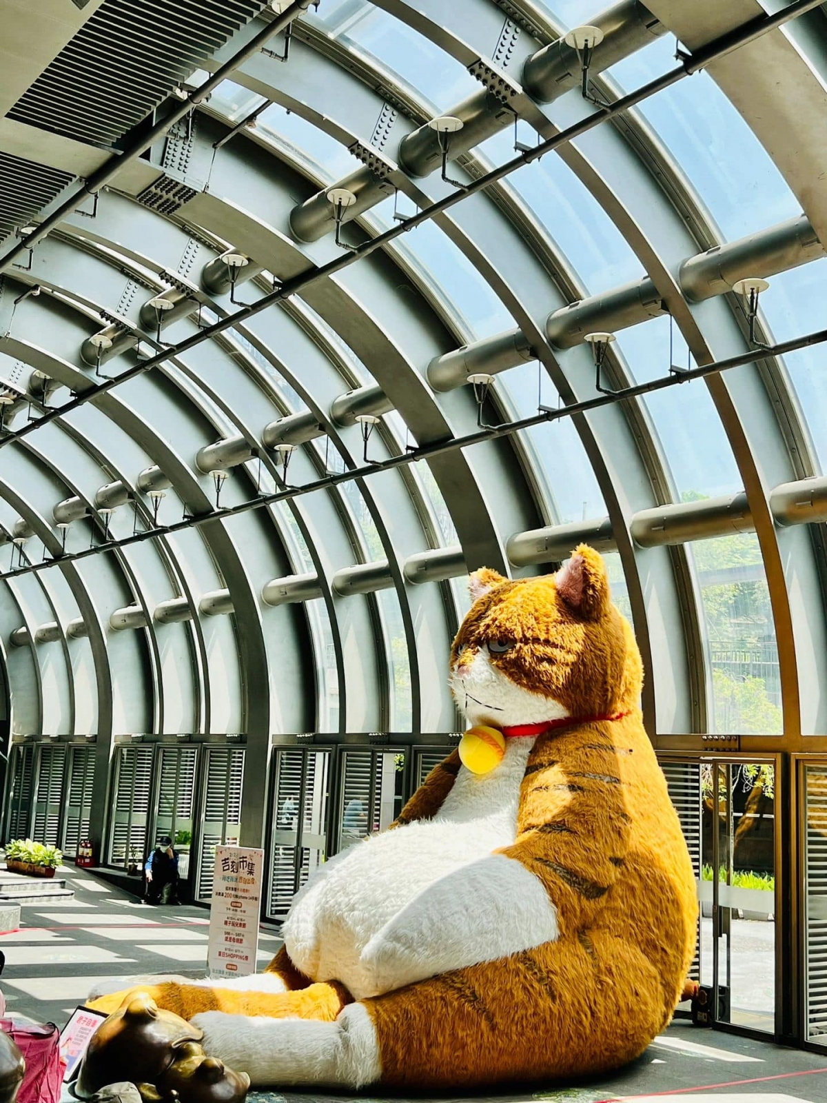 台北市大安森林公園捷運站出現了一隻「超巨型橘貓」
