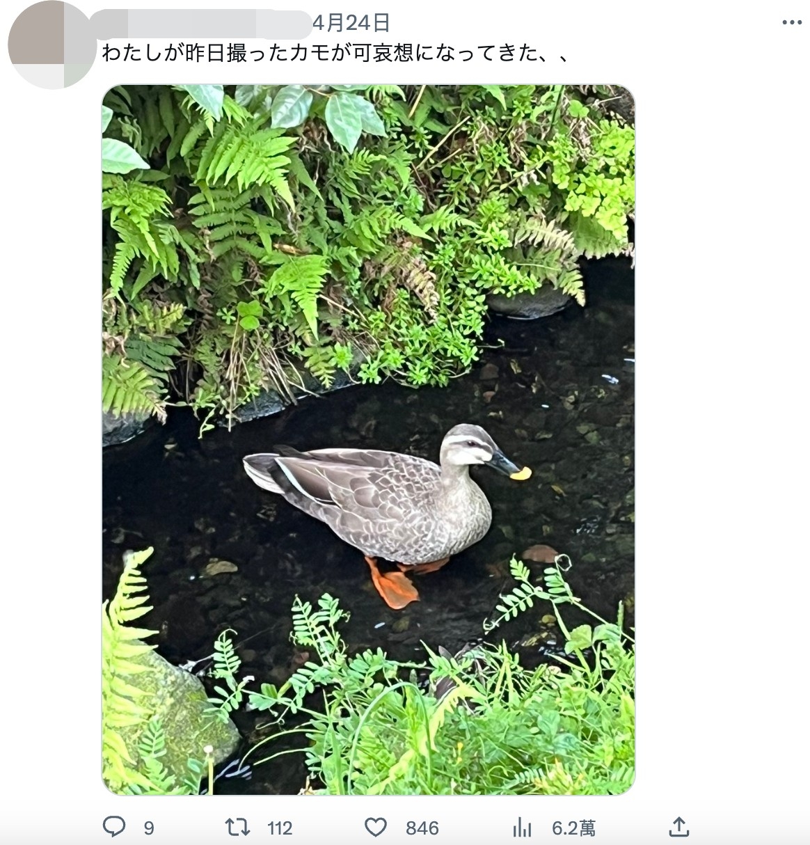 網友分享對比照