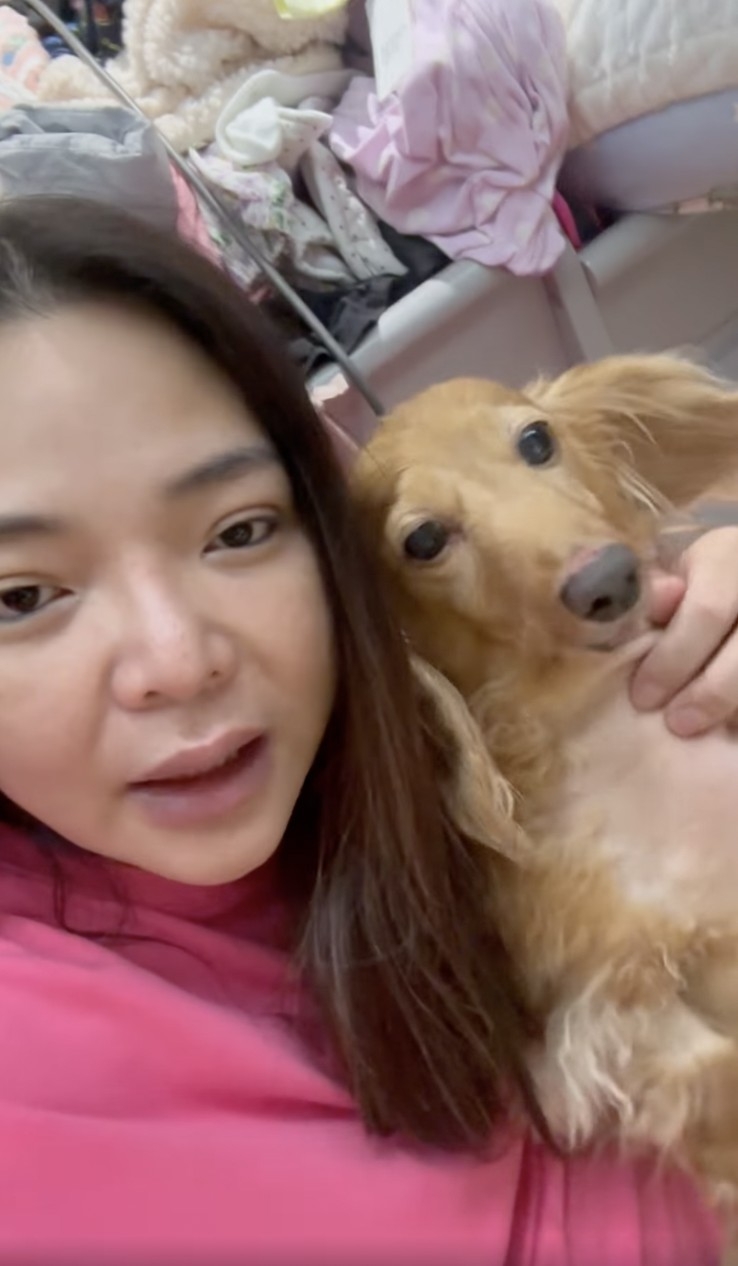 小甜甜回應虐狗事件