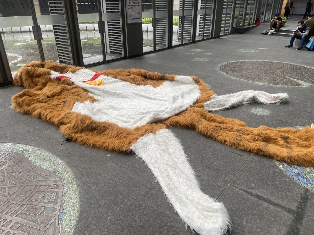 橘貓重重下班後的模樣(笑)