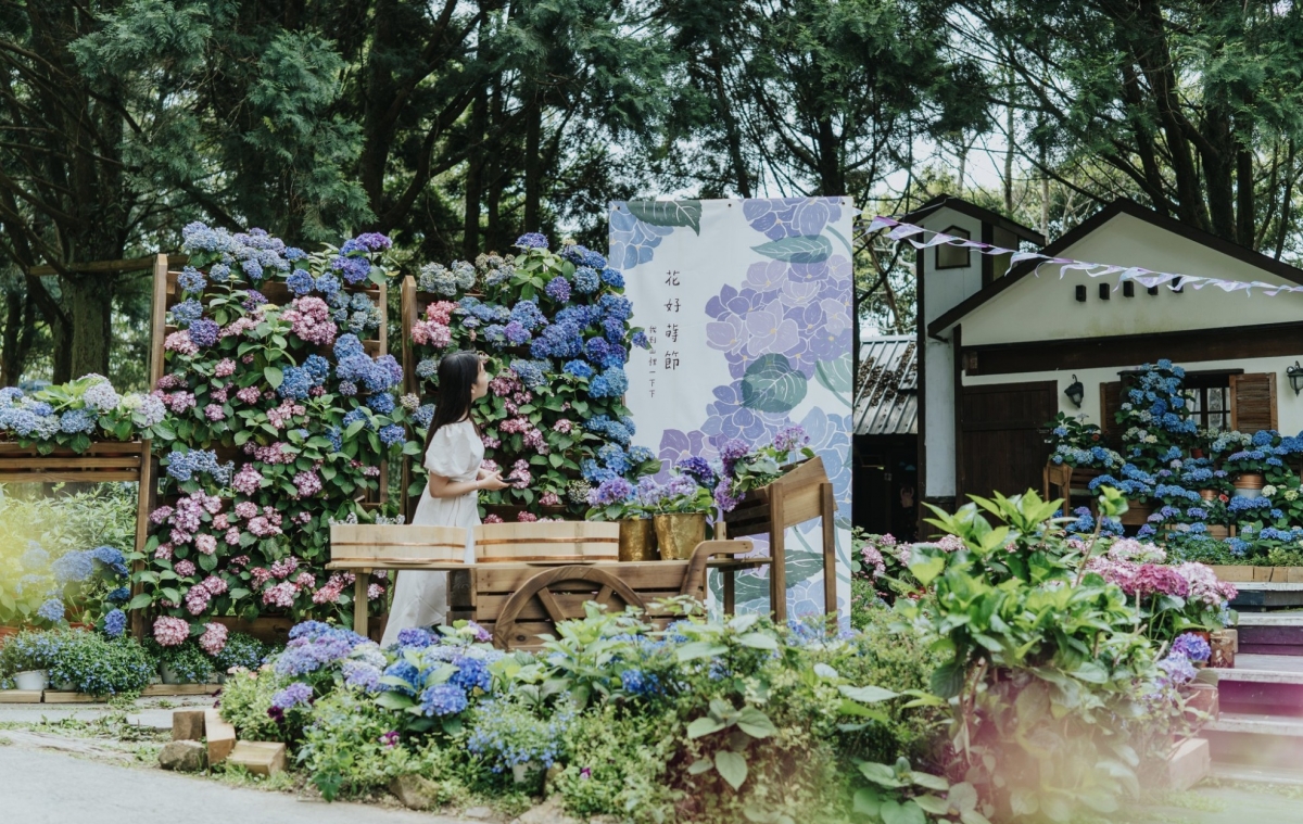 2023薰衣草森林 「繡球花季」