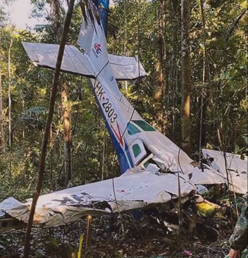 墜機的塞斯納206小型飛機