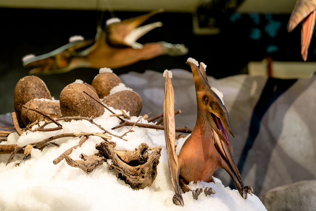 「侏羅紀×恐龍雪世界」亮點介紹