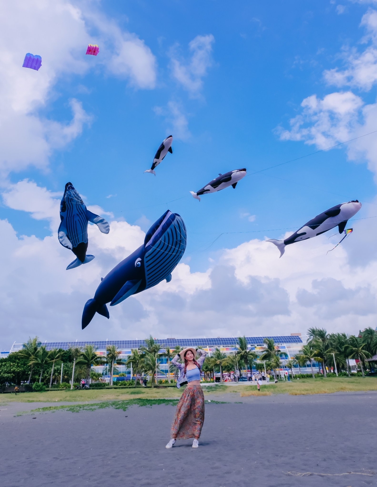 高雄旗津風箏節7月22日登場