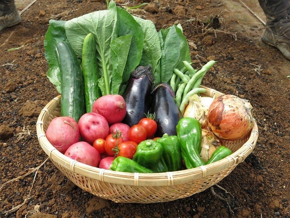 在都市中也可品嚐「自然食品F&F」蔬果的鮮美清甜。