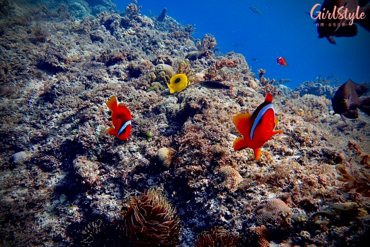 小琉球水上活動推薦:啾開心浮潛