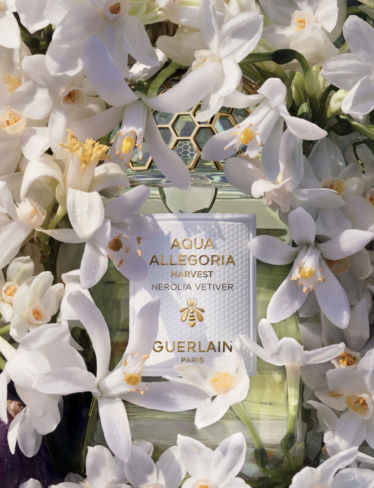 嬌蘭 花草水語系列卡拉布里亞橙花與花蜜淡香水 盛採限定版125ml,NT$6,370