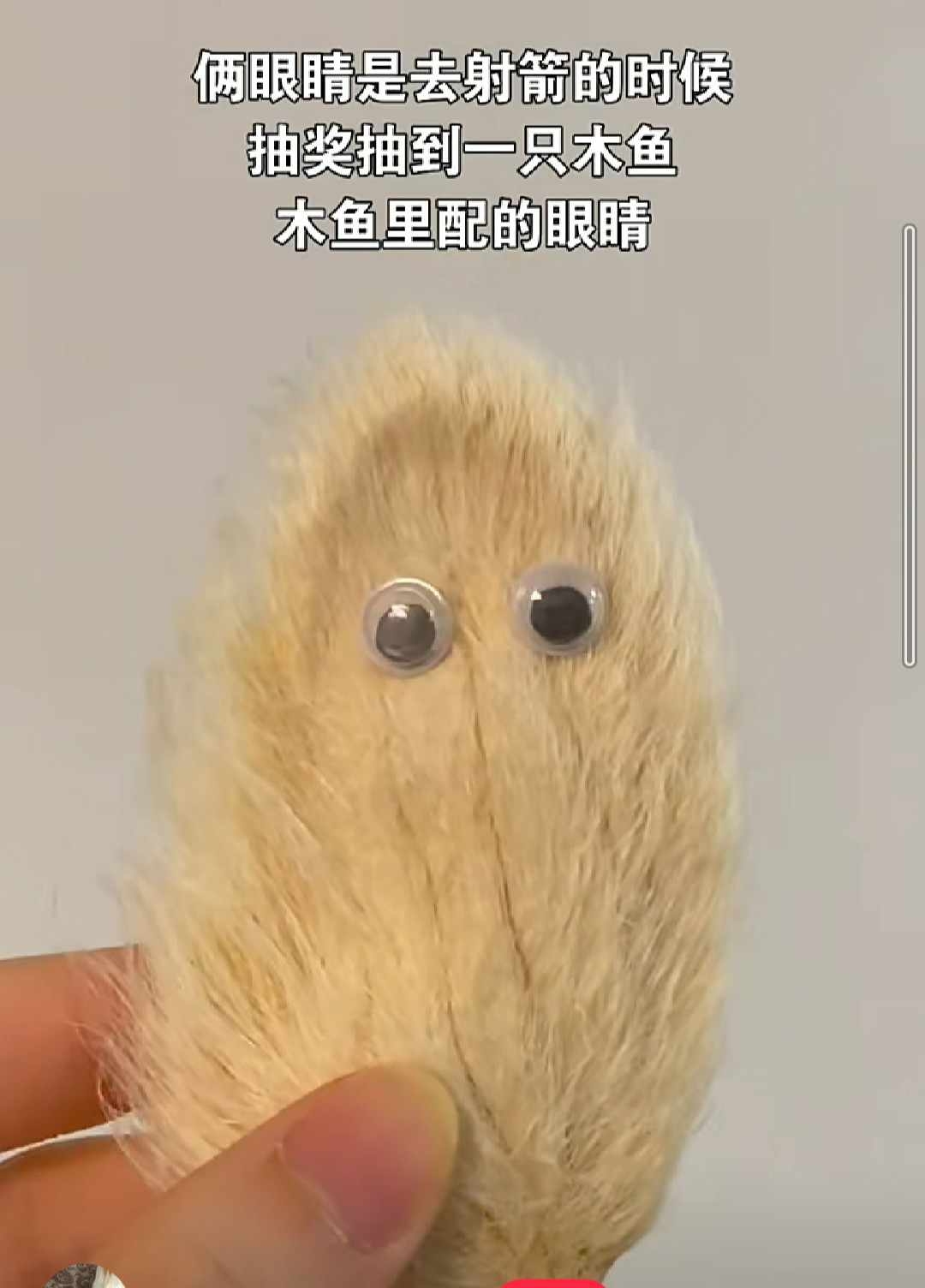 芒果核裝上眼睛變成毛孩寵物