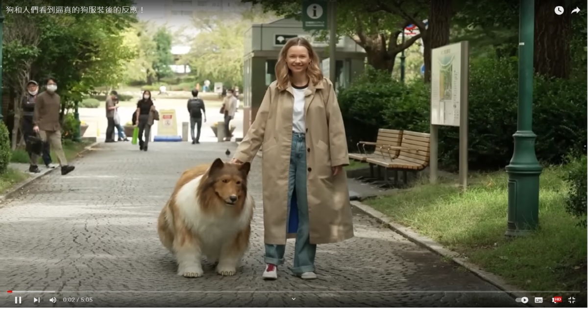 人類狗狗上街也相當受歡迎