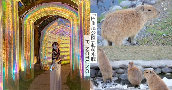 屏東只會玩墾丁?「四重溪溫泉公園」可愛水豚餵食秀被萌翻♡還有超夢幻泡泡隧道快來拍美照~