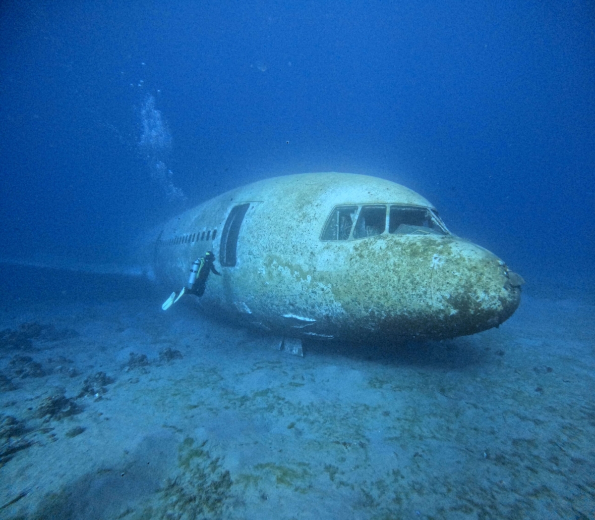 水中飛機殘骸成為觀光勝地
