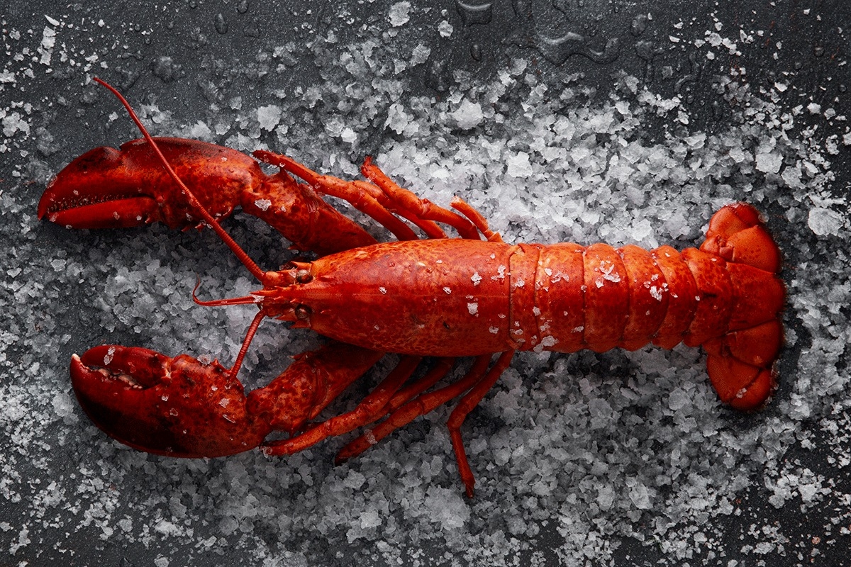 台北美侖商旅「爸氣食足父親節饗宴」推出後引發廣大迴響。