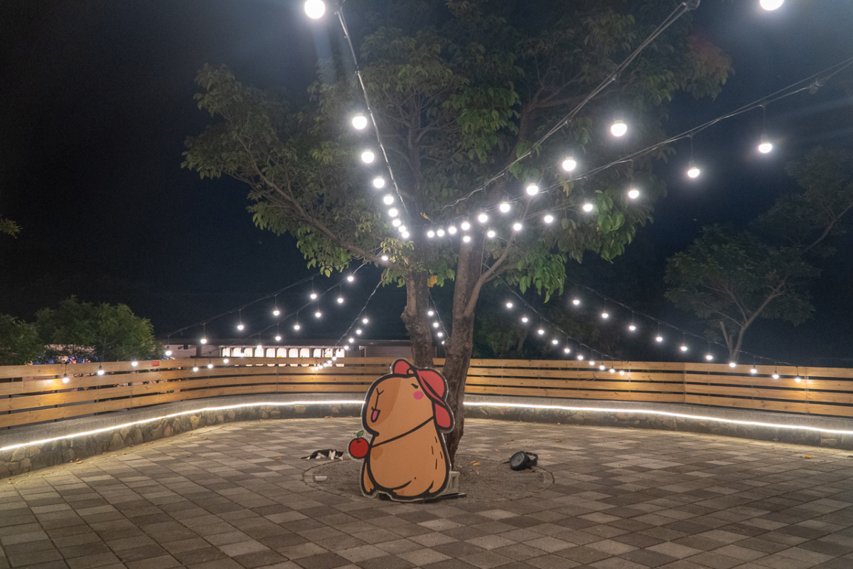 萌Q水豚現身屏東「四重溪溫泉公園」