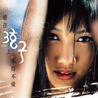 中國女歌手弦子曾經在台灣發行專輯，表現亮眼。