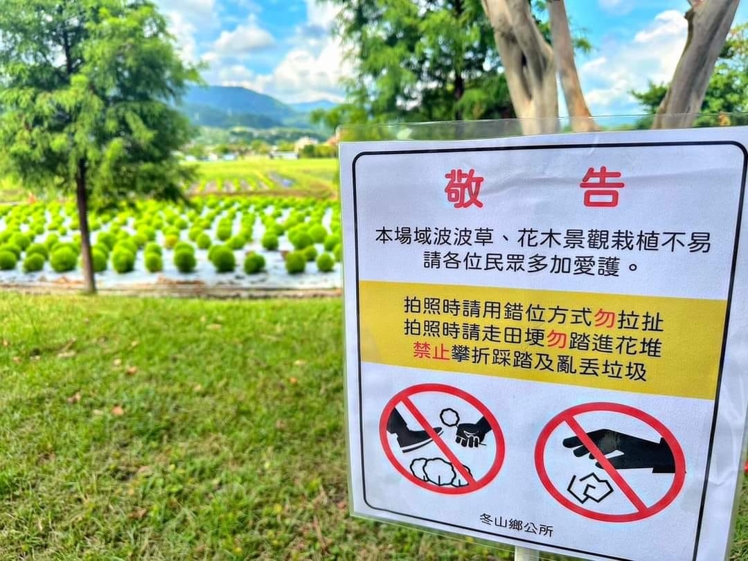 鄉公所表示美景栽種不容易,因此增設了告示牌