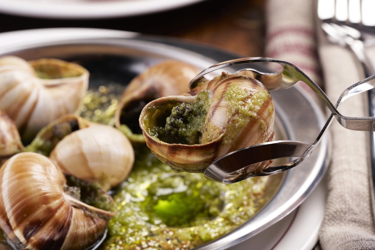 「蒜香勃根地田螺」是法式料理當中的招牌名菜。