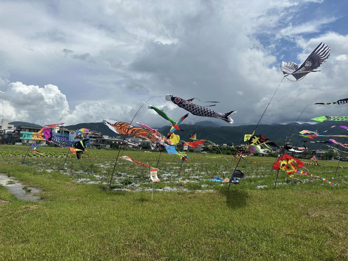 波波草旁邊增加新的風箏地景藝術