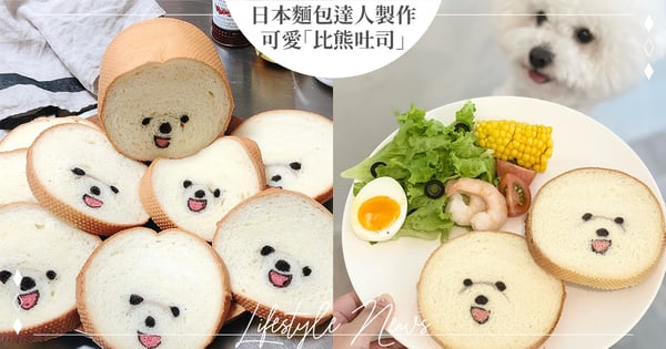 切開滿是驚喜♡日本麵包達人製作超可愛「比熊吐司」甜笑、壞笑通通有,網哭喊「捨不得吃」
