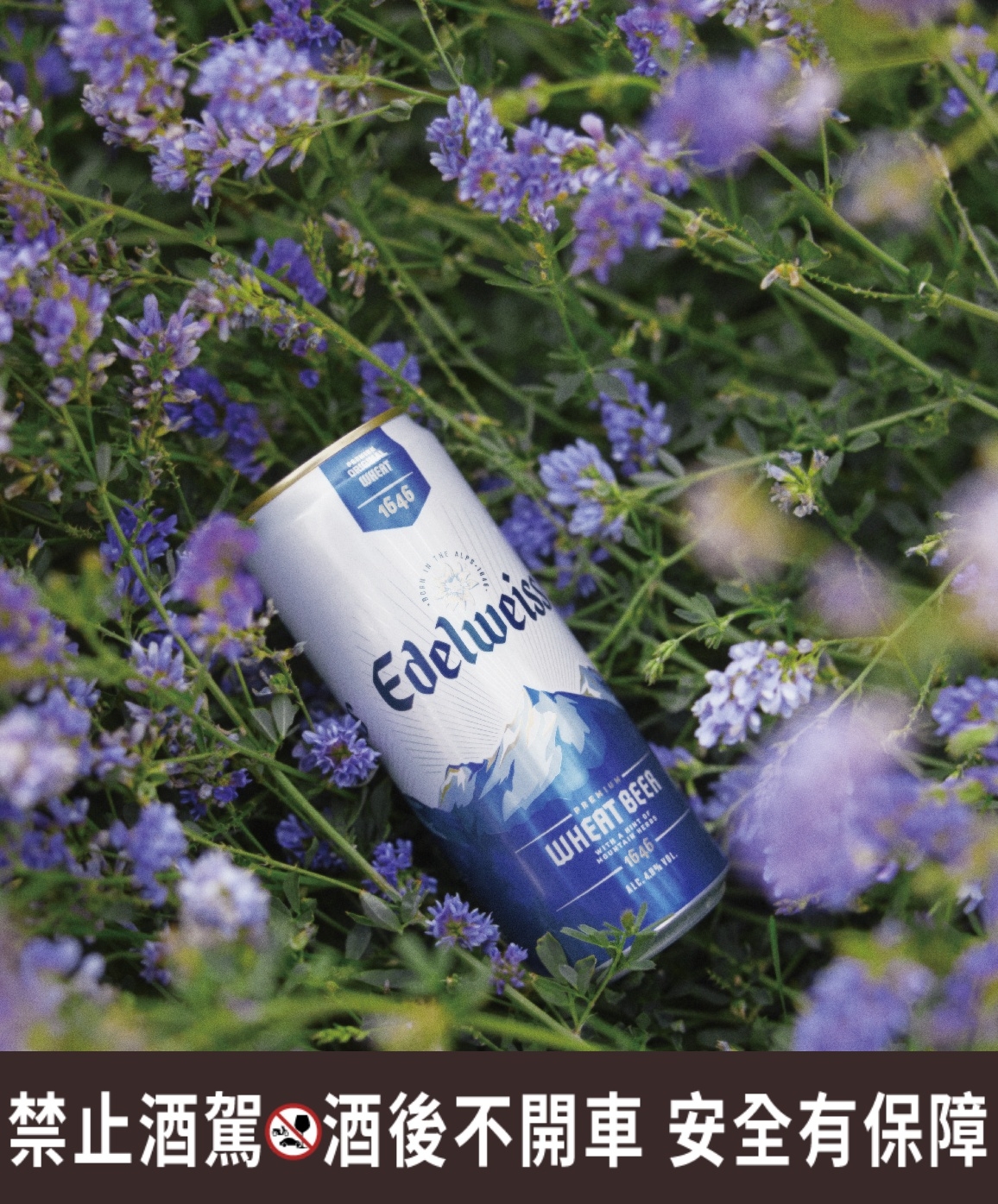 不會苦的啤酒推薦1：艾德懷斯「小白花」白啤