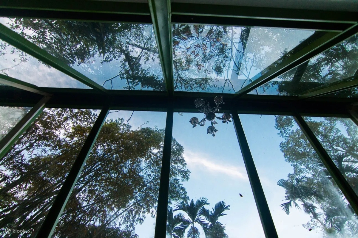 阿里山星空帳篷透過玻璃直接眺望天空