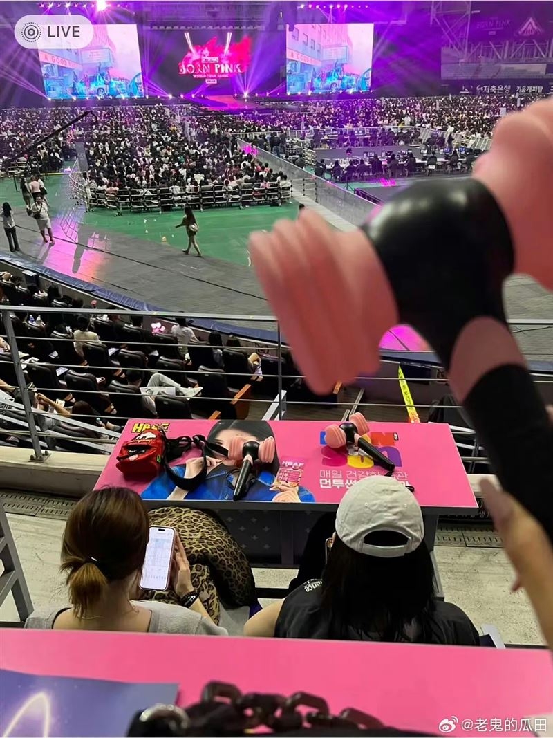 aespa一起看BLACKPINK演唱會。