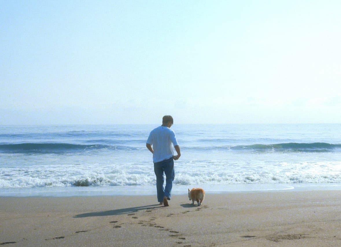 陳昊森非常愛狗，喜歡帶著毛寶貝到海邊沉澱心情。