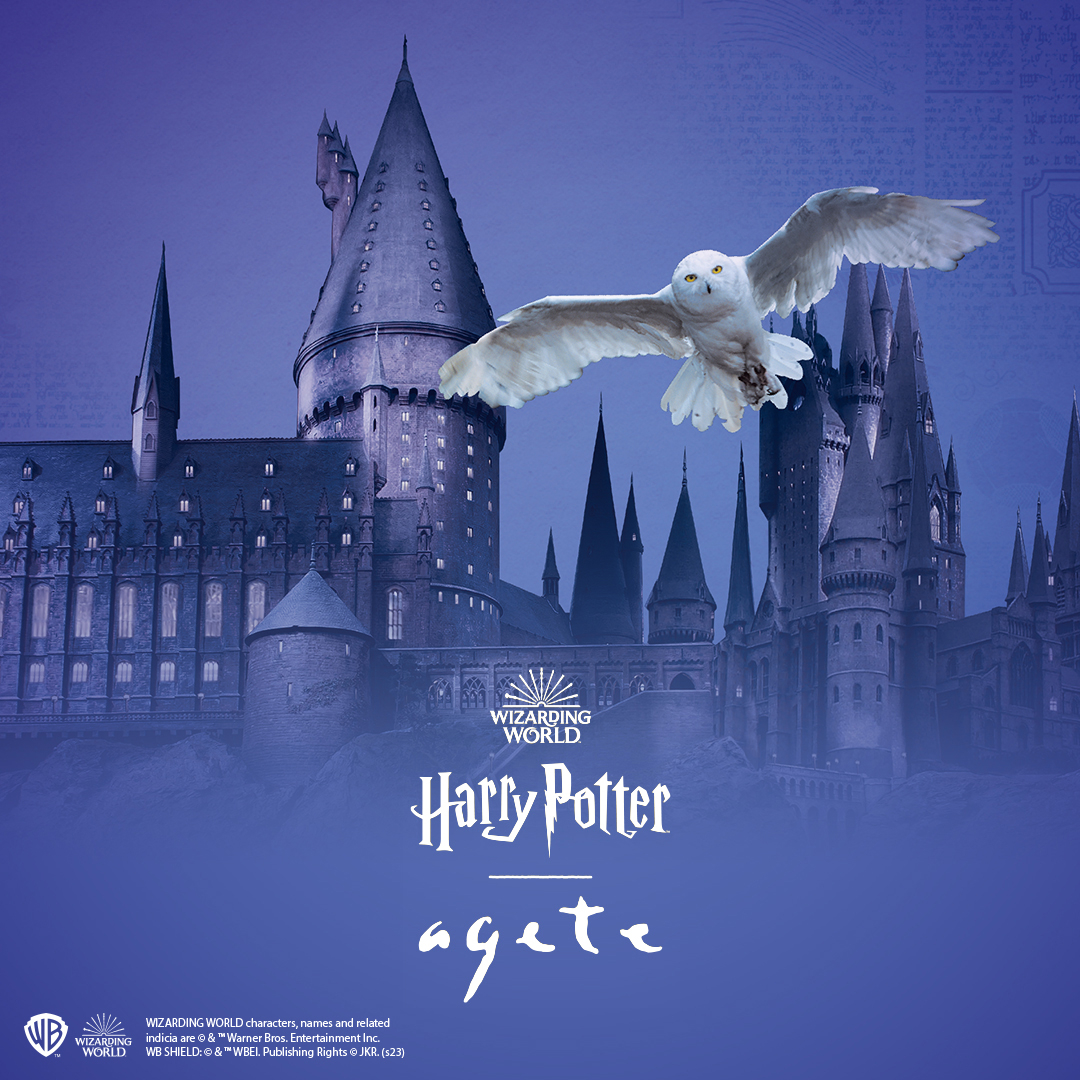 agete Warner Bros Collaboration– Harry Potter