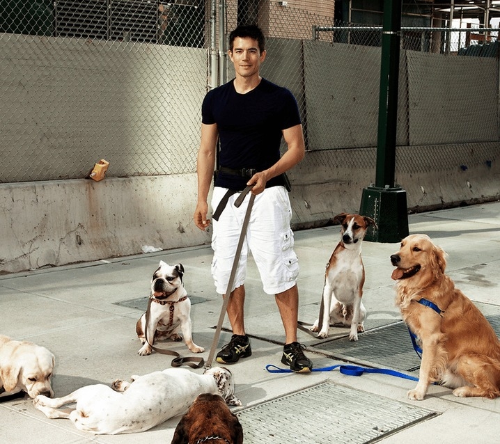 Ryan Stewart沒有大學學歷,靠著在紐約「幫人遛狗」就年賺超過10萬美元