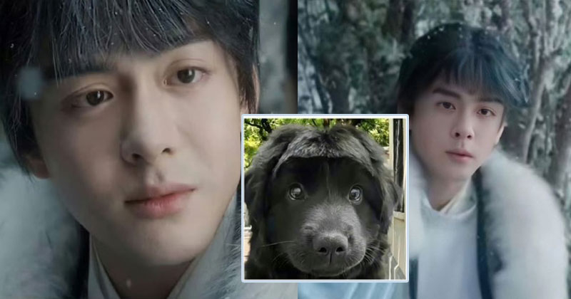 曾舜晞自嘲《雲之羽》瀏海圈粉無數。