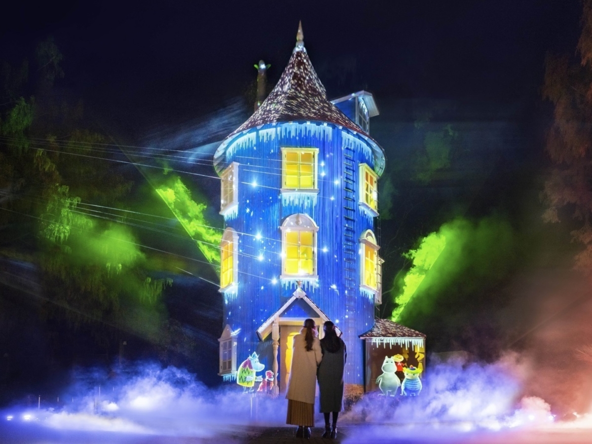 「嚕嚕米之家」投射奇幻極光